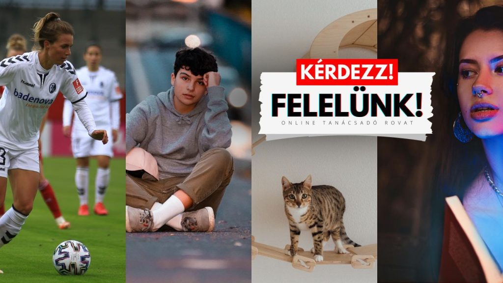 Kérdezz!