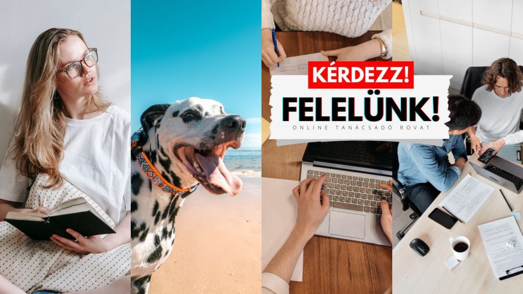 Kérdezz!