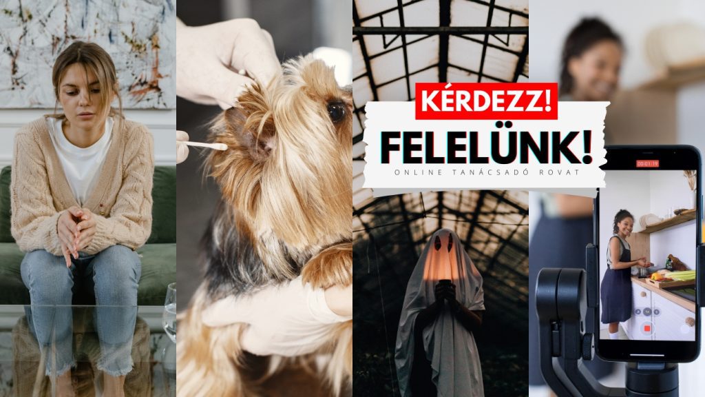 kérdezz