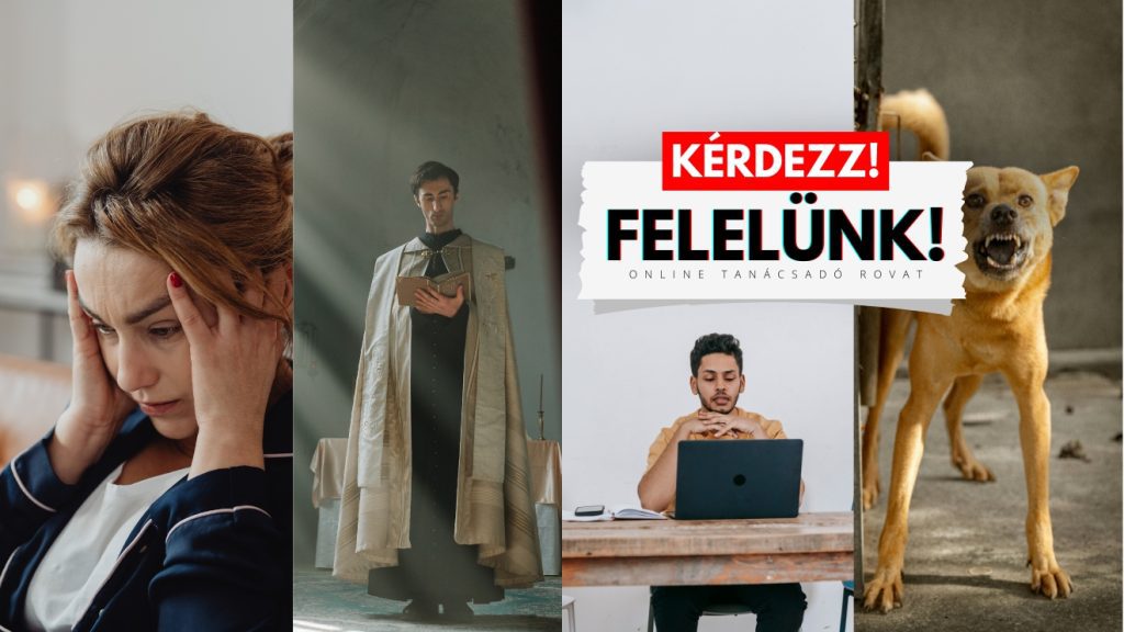 idióta szomszéd, kiégett tanárok, kérdezz, tanácsadó,