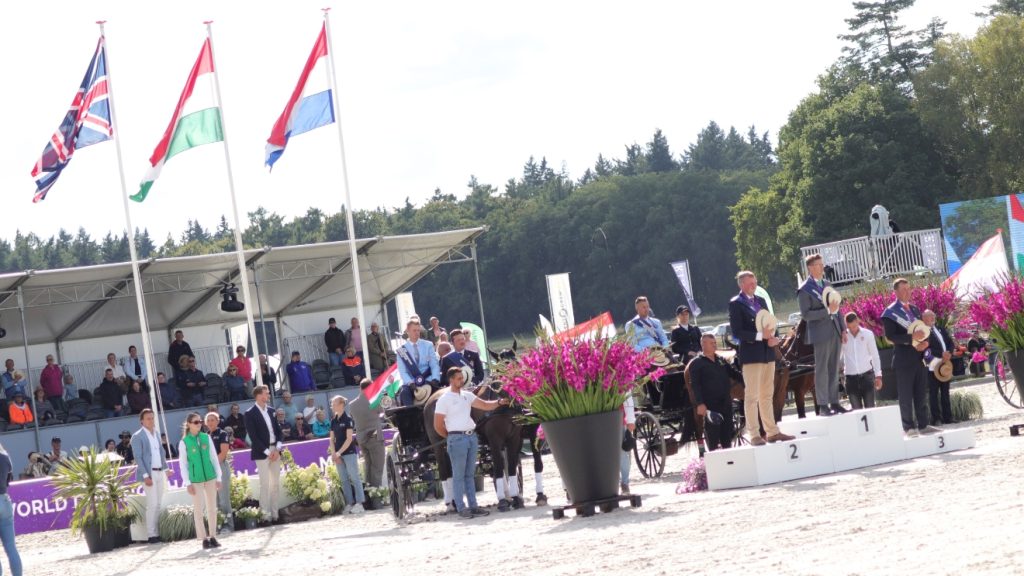hölle martin, kettesfogathajtás, lovak, hollandia,