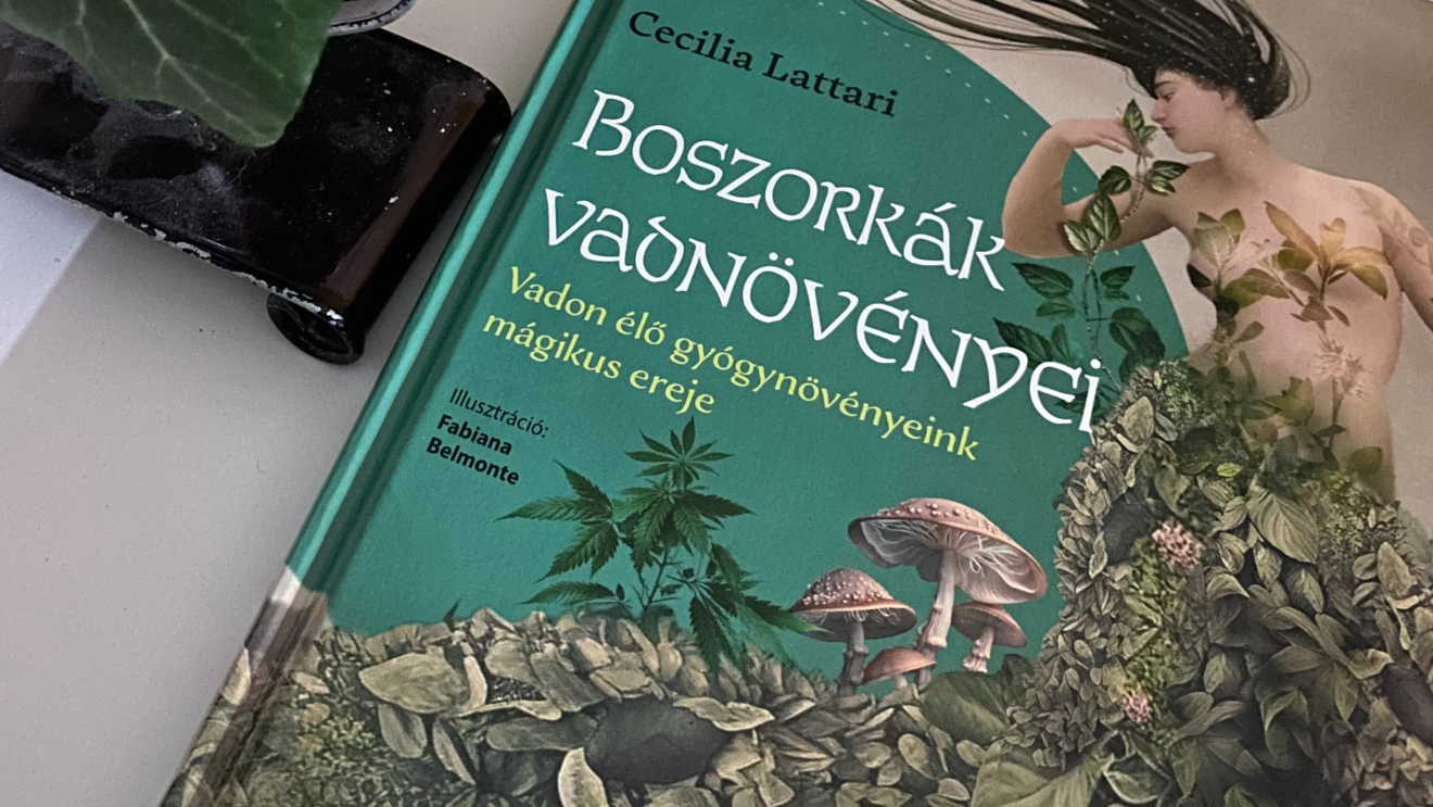 Boszorkák vadnövényei avagy könyvbe rejtett kapu az ősboszorkához – könyvajánló