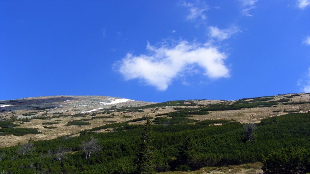 Chopok – Gyömbér gerinctúra