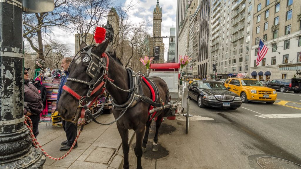 New York, Central Park, lovaskocsi,