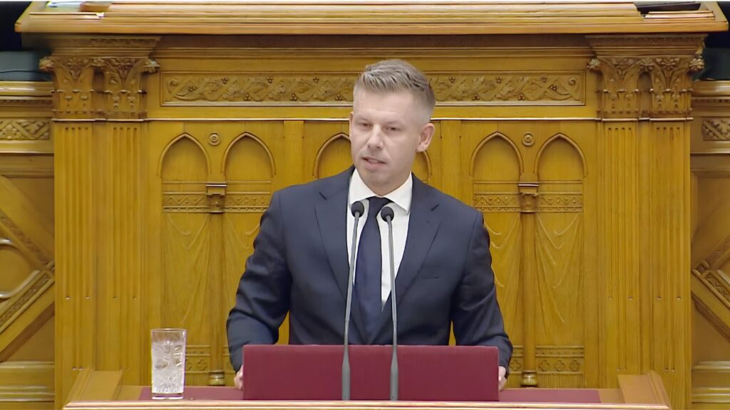 Magyar Péter, tisztítótűz,