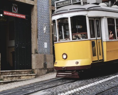 2020_magazin_nagy-2-800x445-2