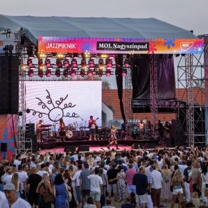 fesztivál, jazzpiknik