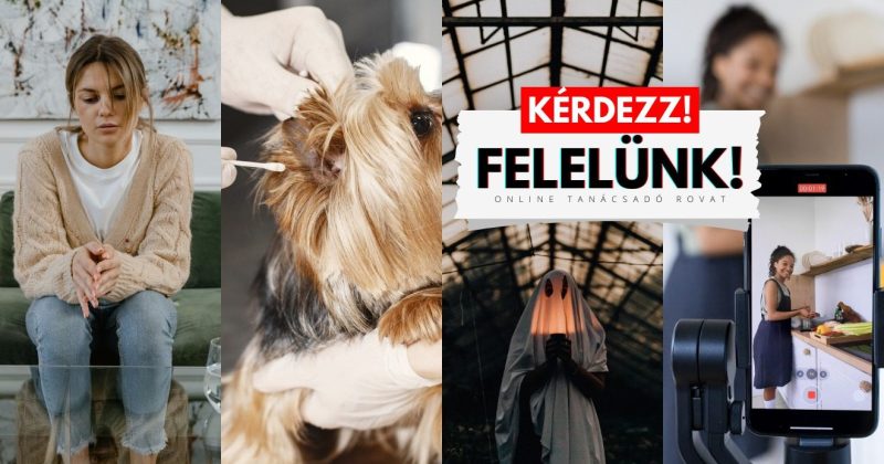 kérdezz
