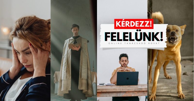 idióta szomszéd, kiégett tanárok, kérdezz, tanácsadó,