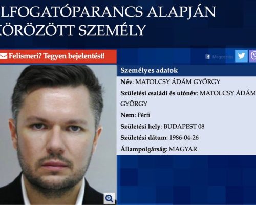Matolcsy Ádám, nemzetközi elfogatóparancs