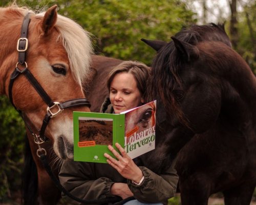 dr. Tornyi Katalin, Lóbarát közösség, Lóbarát tervező, Lóbarát Akadémia, Lóbarát fesztivál