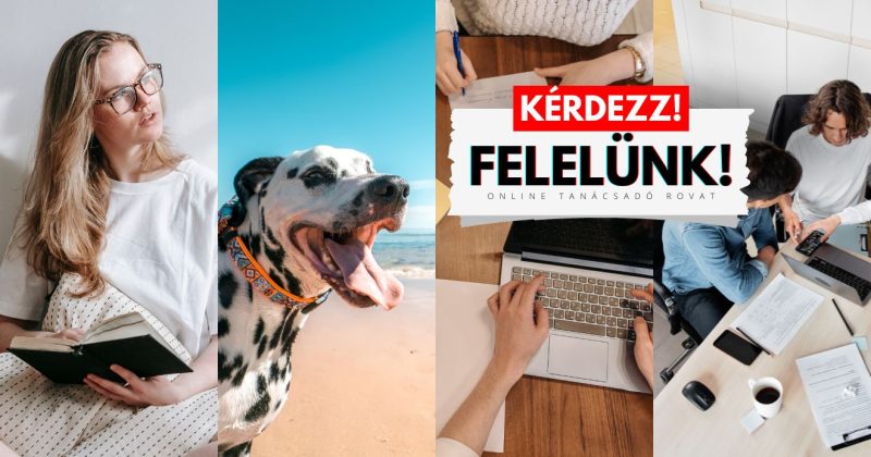 Kérdezz!