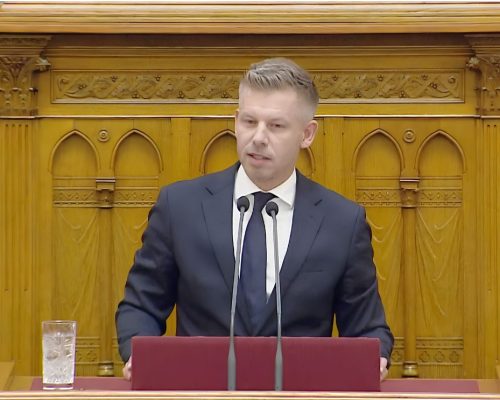 Magyar Péter, tisztítótűz,