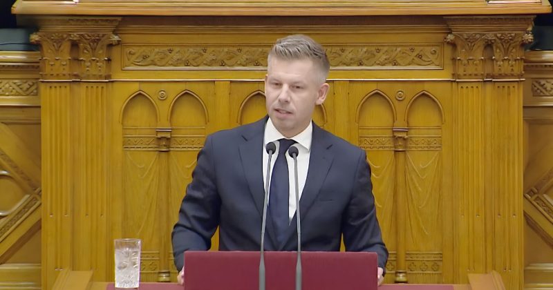 Magyar Péter, tisztítótűz,