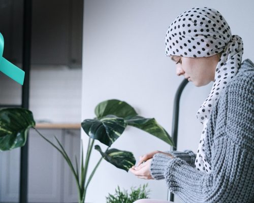 Fotó: Canva @ahmadalfant's Images és Pexels  @ivans