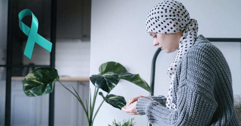 Fotó: Canva @ahmadalfant's Images és Pexels  @ivans