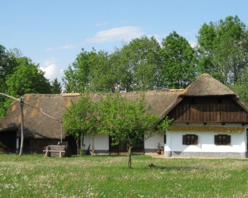 nádtető, ház, parasztház