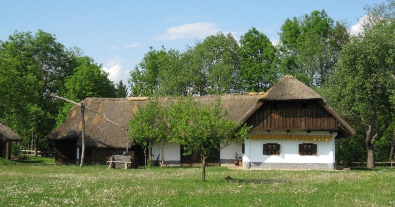 nádtető, ház, parasztház