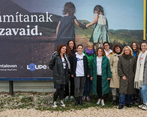 Hintalovon, plakátkampány, politika
