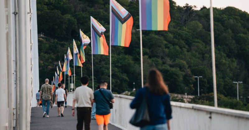 Budapest Pride, Erzsébet híd, Pride zászló,