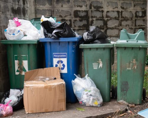 fenntarthatóság a mindennapokban