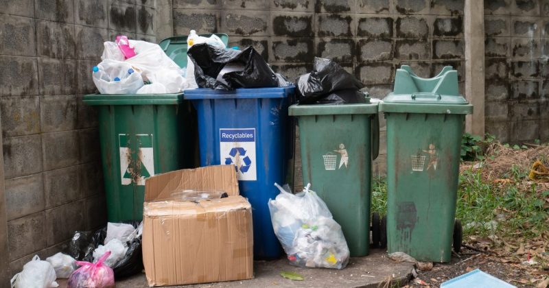 fenntarthatóság a mindennapokban