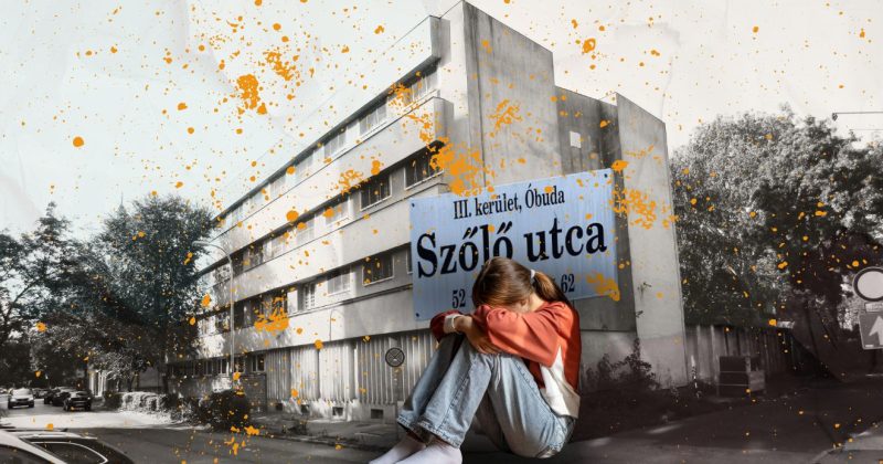 szőlő utca, intézet, javító Forrás Canva @dimaberlinphotos Wikipédia