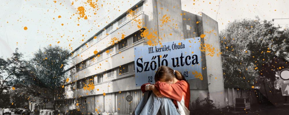 szőlő utca, intézet, javító Forrás Canva @dimaberlinphotos Wikipédia