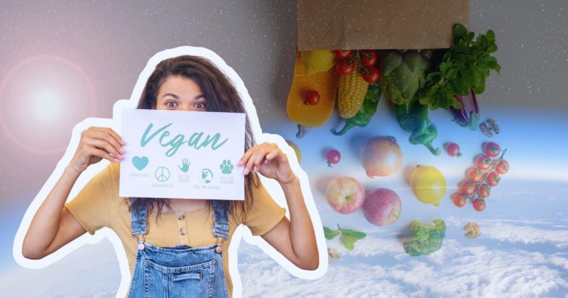 vegán, ózonréteg,